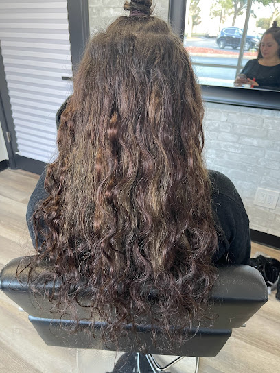 LaTinas Hair Extensions Llc