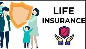 Insurance