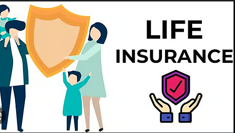 Insurance